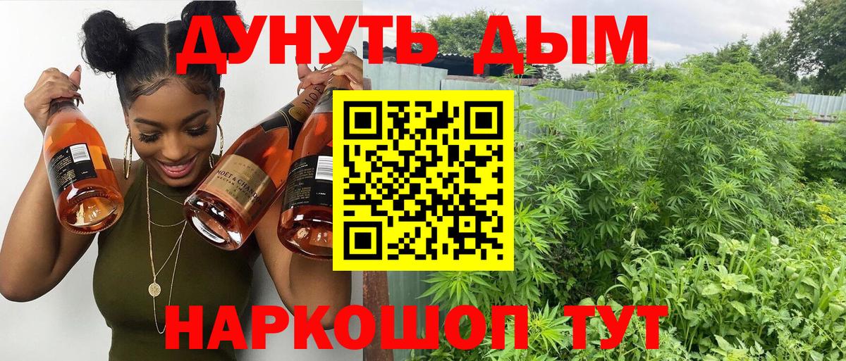 Канабис конопля Черкесск